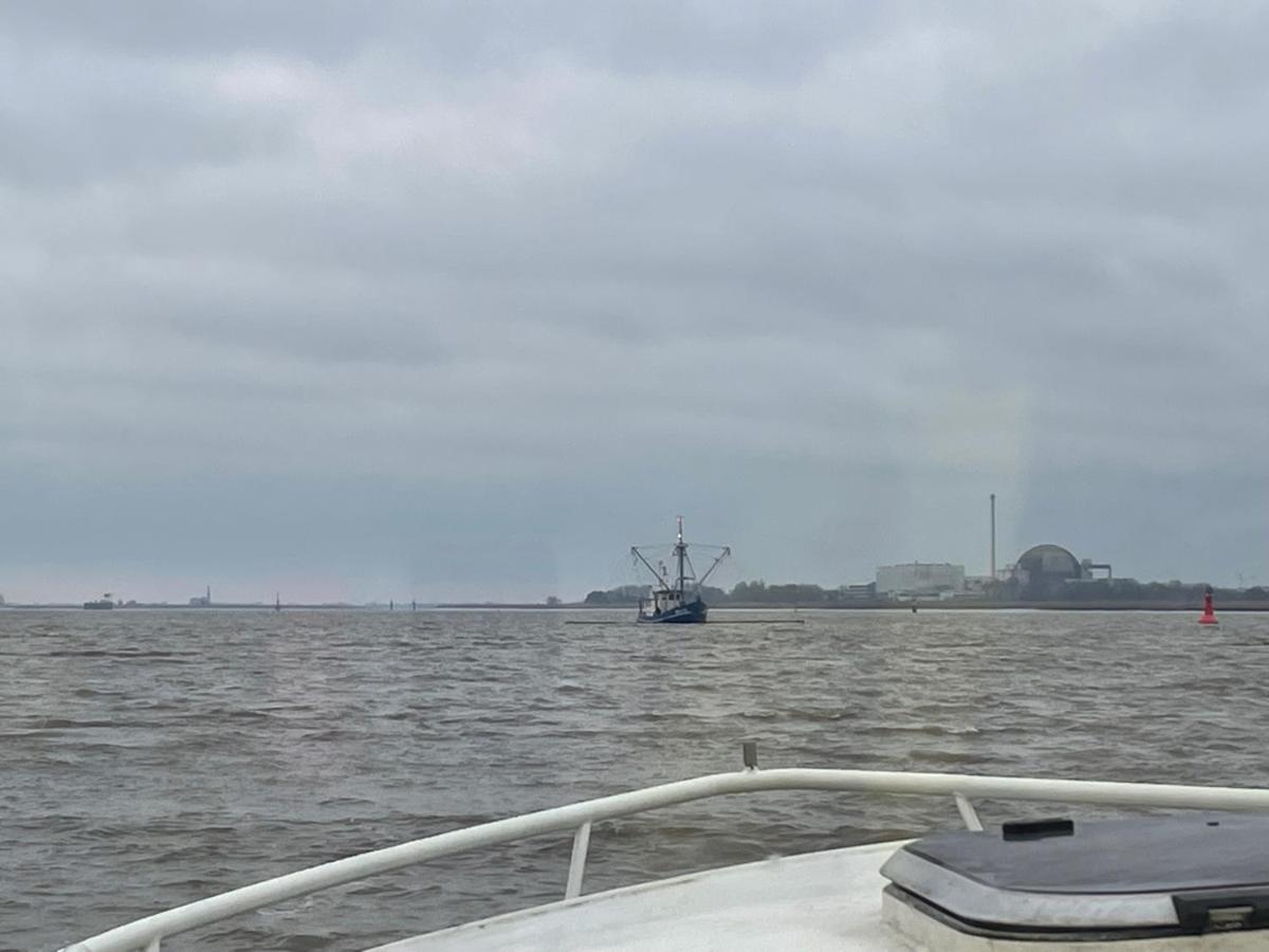 Suesses Motorboot - Ueberseestadt Botel
