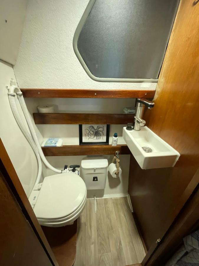Botel Suesses Motorboot - Ueberseestadt